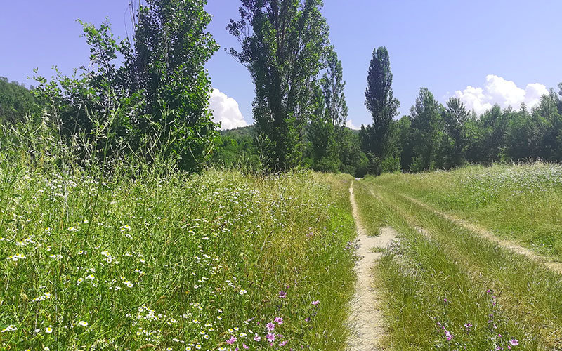 Via degli dei Bologna Sasso marconi parcodella chiusa