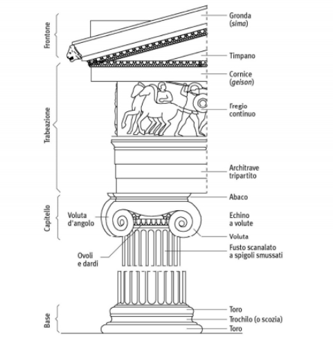 ordine ionico colonna ionica