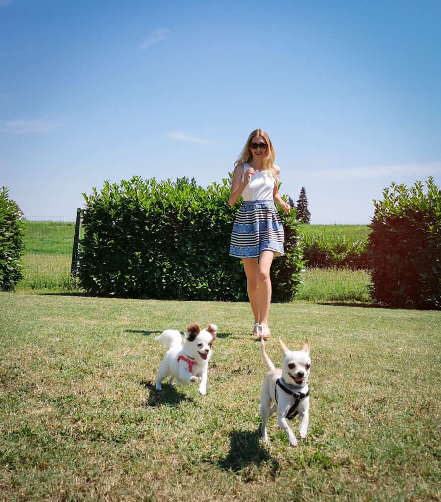Federica Marchini pet influencer i suoi chihuahua
