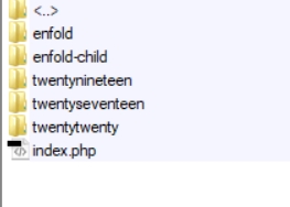 Tema child WordPress