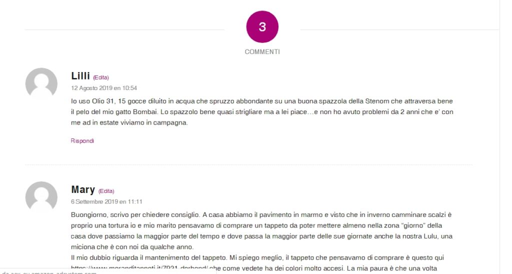 commenti su un articolo in wordpress