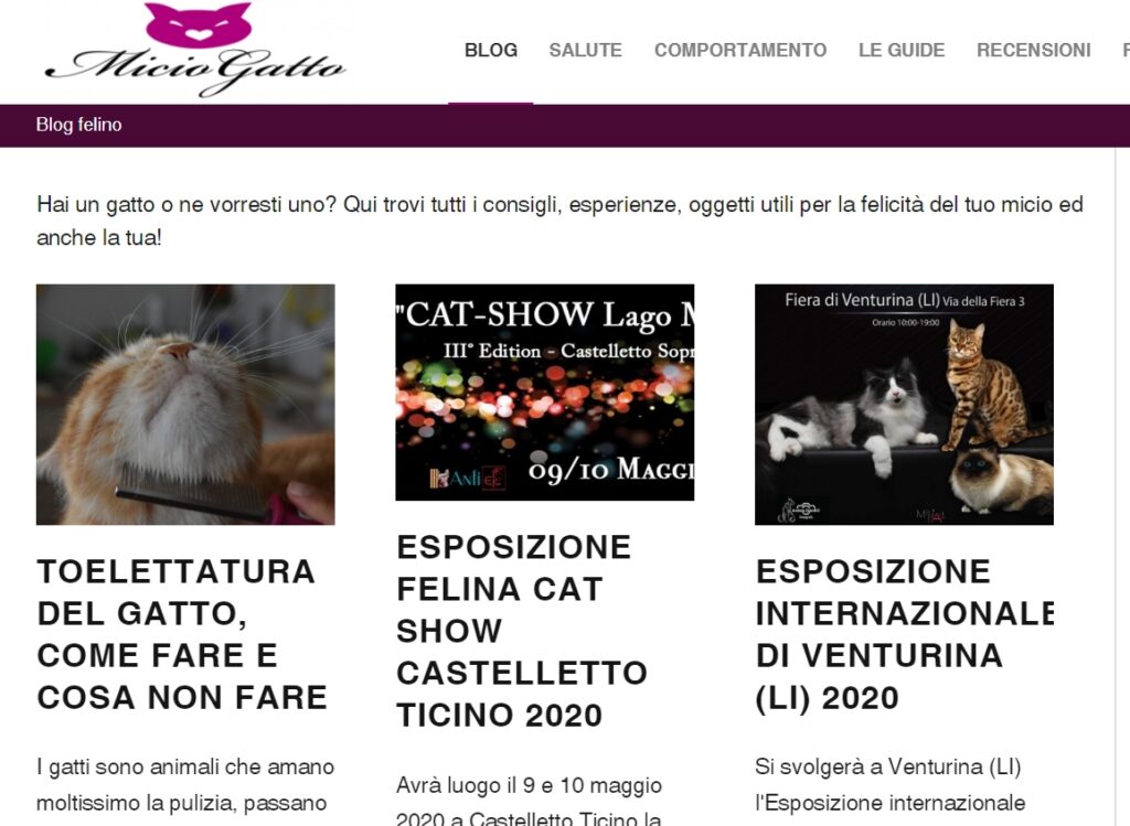 immagini in evidenza degli articoli