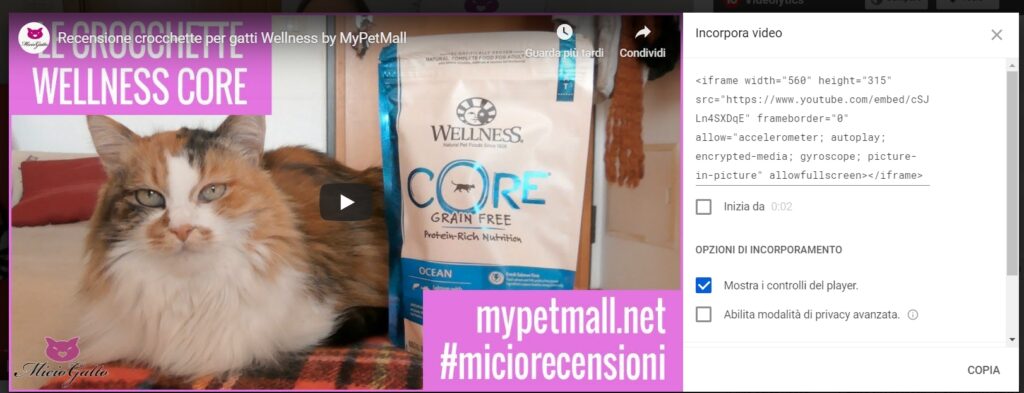 inserire video in articolo wordPress