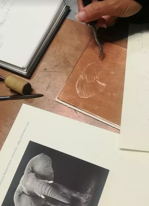 La creazione del diesgno